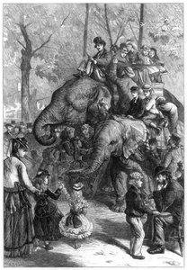 Monday Afternoon at the Zoological Society