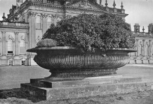 A Stone Vase