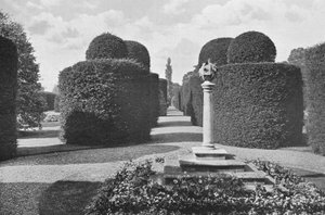 Heslington Hall: Shapely Topiary Work