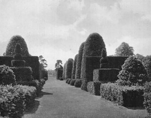 Ilex and Yew by Charles Latham