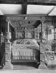 In the Brown Room