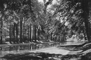 The T Pond by Charles Latham