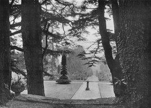 Under the Cedars by Charles Latham