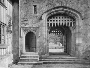 Within the Courtyard