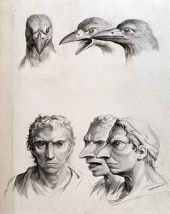 Profiles of Bird and Man-Bird - by Lebrun, in Treats of the Physiognomy of Man Compared to That of Animals