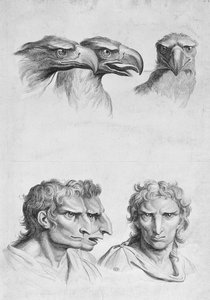 Similarities Between the Head of an Eagle and a Man, from 