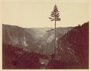 Yosemite Valley from Mariposa Trail, 1865 by Charles Leander Weed