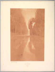 Suite of Landscapes: Landscape, Plate 2, Remarque, Starflowers by Charles Marie Dulac