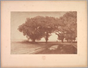 Suite of Landscapes: Landscape, Plate 8, Remarque, Pansies