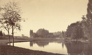 Bois de Boulogne by Charles Marville