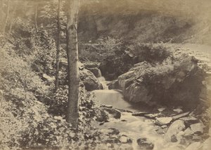 The Swiss Valley at St. Goarshausen by Charles Marville