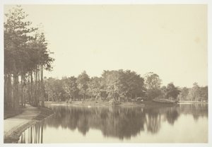 Untitled by Charles Marville