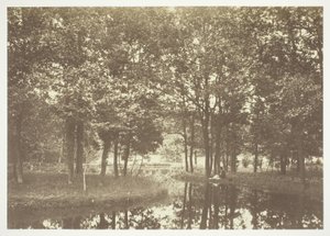 Untitled by Charles Marville