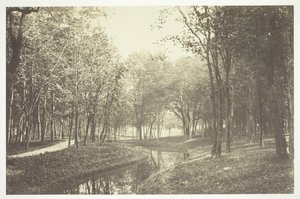 Untitled [Trees near water in the Bois de Boulogne, a park in Paris] by Charles Marville