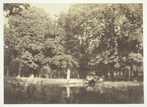 Untitled, c. 1850. [Trees near water in the Bois de Boulogne, a park in Paris] by Charles Marville
