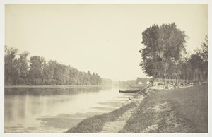 Untitled [Trees near water in the Bois de Boulogne, a park in Paris]