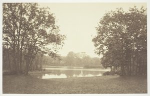 Untitled [Trees near water in the Bois de Boulogne, a park in Paris] by Charles Marville