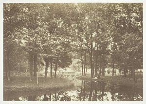 Untitled, c. 1850 by Charles Marville