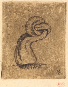 The Sickly Cryptogam