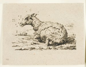 The Sheep and the Flies by Charles Meryon
