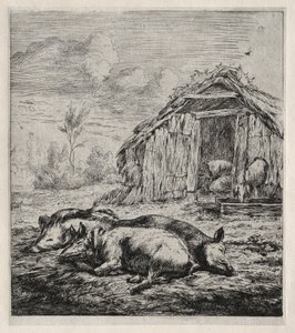 Three Swine Lying in Front of a Sty