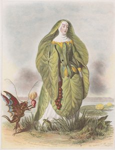 Nenuphar, from Les Fleurs Animées by Charles Michel Geoffroy