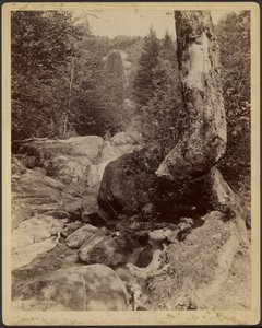 Cascading Stream by Charles P. Hibbard