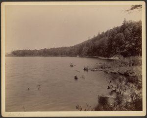 Lake Saco by Charles P. Hibbard
