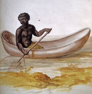 Young Negro in a Canoe in the Caribbean, c.1686 by Charles Plumier