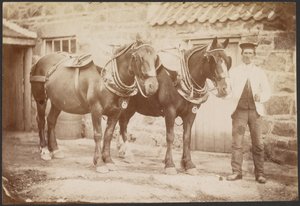 Man with Two Horses