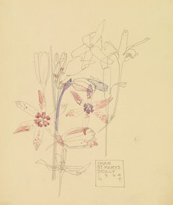 Ixias by Charles Rennie Mackintosh