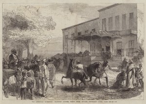 The Abyssinian Expedition, Transport Officers buying Mules opposite Shepheard