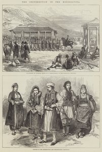 The Insurrection in the Herzegovina by Sir John Charles Robinson