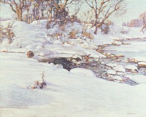 Winter Sunlight