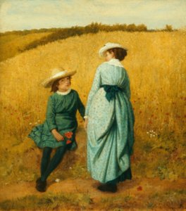 Poppy Field