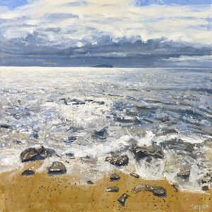 Crail Shore, 2015