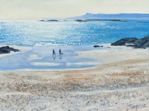 Crossing the Beach, 2014