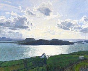 Dazzling Light, Tanera Mor, 2011