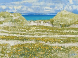 Glimpse of Harris, 2014