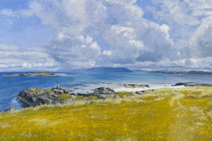North Shore, Iona, 2015