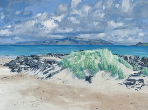 Rocks & Grasses, Iona, 2013