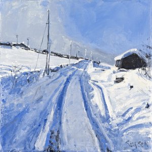 Snow Covered Road, 2010