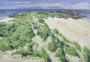 Two Beaches, 2016