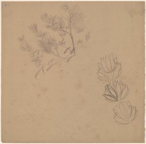 Study for a Border Design with a Sketch of a Tree