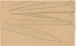 Study of a Flower