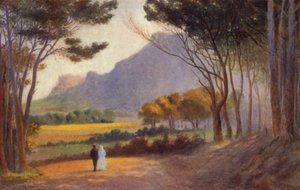 Cape Peninsula, South Africa: Alphen by Charles Stephen Meacham
