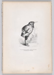 Old, Broken, Haggard, Whimsical, Yet Good, Yet Dedicated, and Domestic by Temperament, ca. 1837-47 by Charles Tamisier