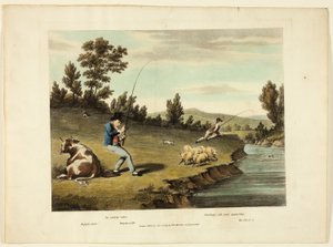 Delights of Fishing by Charles Turner
