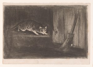 Cat and Mouse