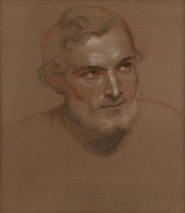 Head of a Man